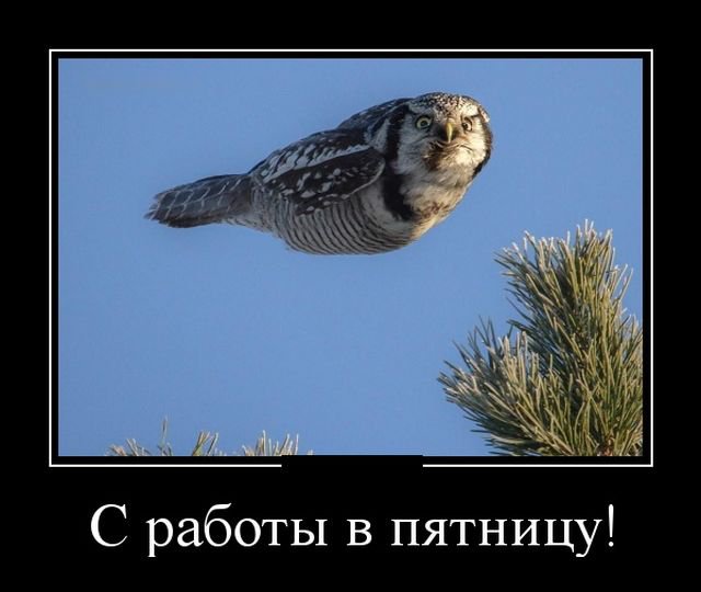 Смешные демотиваторы про жизнь (30 фото) Смешные демотиваторы про жизнь (30 фото)
