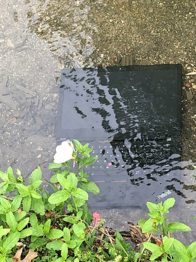 15 драматических фото, на которых разыгралась настоящая трагедия (16 фото) 15 драматических фото, на которых разыгралась настоящая трагедия (16 фото)