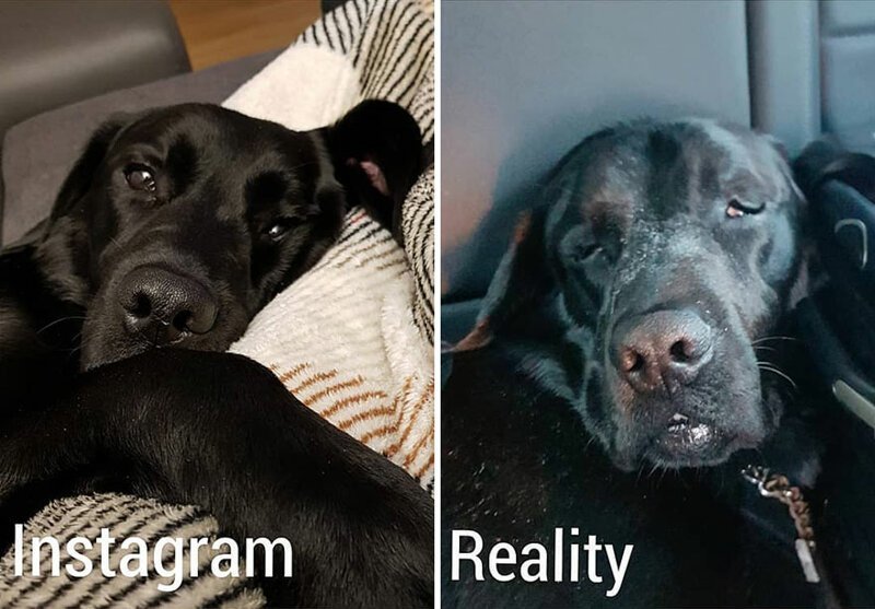 Инстаграм врет, и вот вам доказательства! (21 фото) Инстаграм врет, и вот вам доказательства! (21 фото)