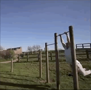 Ожидания не всегда соответствуют реальности (15 гифок)