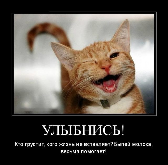 Прикольные фото-демотиваторы (30 фото)