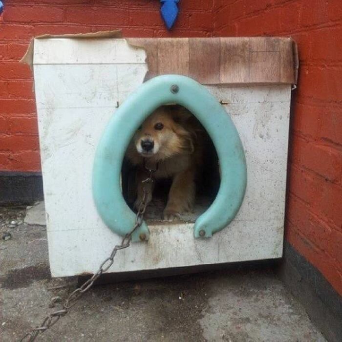 20 фото, демонстрирующих находчивость людей, которые включили мозги на полную катушку (21 фото) 20 фото, демонстрирующих находчивость людей, которые включили мозги на полную катушку (21 фото)