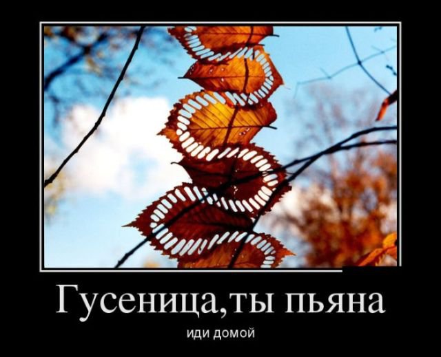 Смешные демотиваторы про жизнь (30 фото) Смешные демотиваторы про жизнь (30 фото)