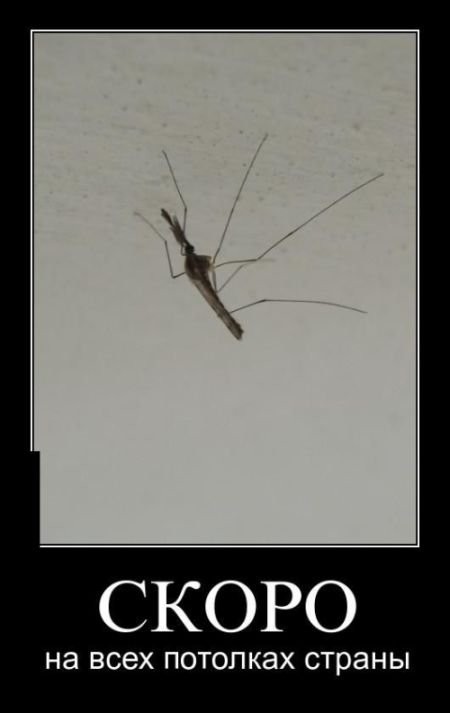 Смешные демотиваторы про жизнь (30 фото) Смешные демотиваторы про жизнь (30 фото)