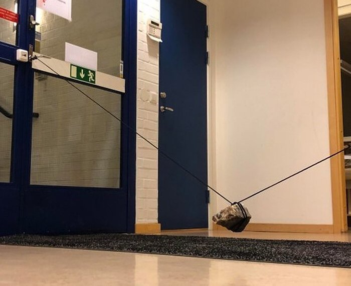 20 фото, демонстрирующих находчивость людей, которые включили мозги на полную катушку (21 фото) 20 фото, демонстрирующих находчивость людей, которые включили мозги на полную катушку (21 фото)