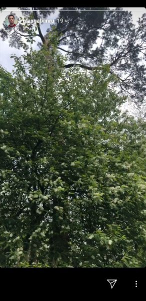 Снова вместе: После слухов в СМИ Галкин решил доказать, что Пугачева еще рядом с ним
