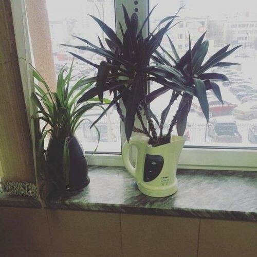 20 фото, демонстрирующих находчивость людей, которые включили мозги на полную катушку (21 фото) 20 фото, демонстрирующих находчивость людей, которые включили мозги на полную катушку (21 фото)