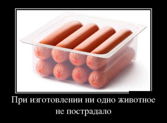 Прикольные фото-демотиваторы (30 фото)