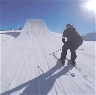 Ожидания не всегда соответствуют реальности (15 гифок)