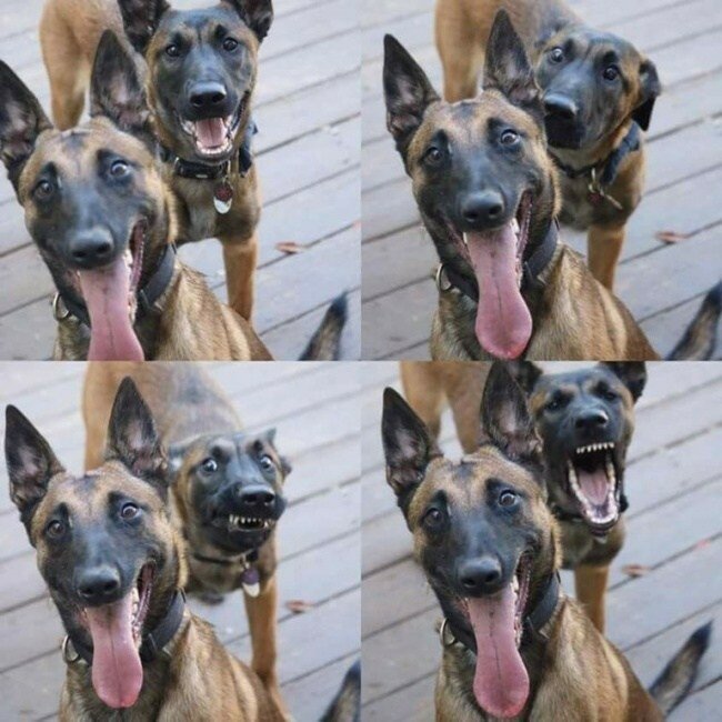 20 неожиданных фотографий, ставших шедеврами благодаря фону (21 фото) 20 неожиданных фотографий, ставших шедеврами благодаря фону (21 фото)