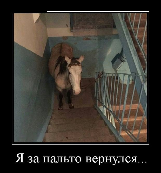 Прикольные фото-демотиваторы (30 фото)