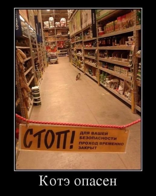 Смешные демотиваторы про жизнь (30 фото) Смешные демотиваторы про жизнь (30 фото)