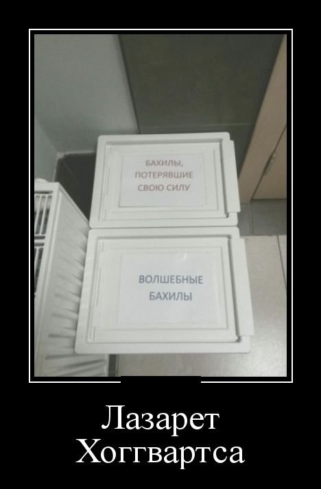 Прикольные новые демотиваторы (30 фото)