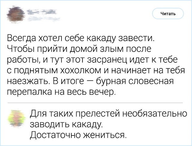 Комментирование - это искусство. Подборка острот с просторов Интернета (19 фото)