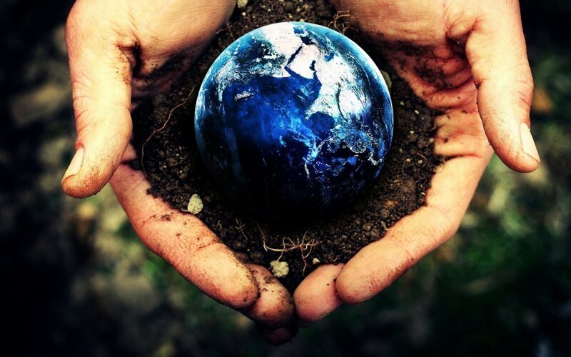 Доказательства того, что человек не заслужил нашу Планету (16 фото)