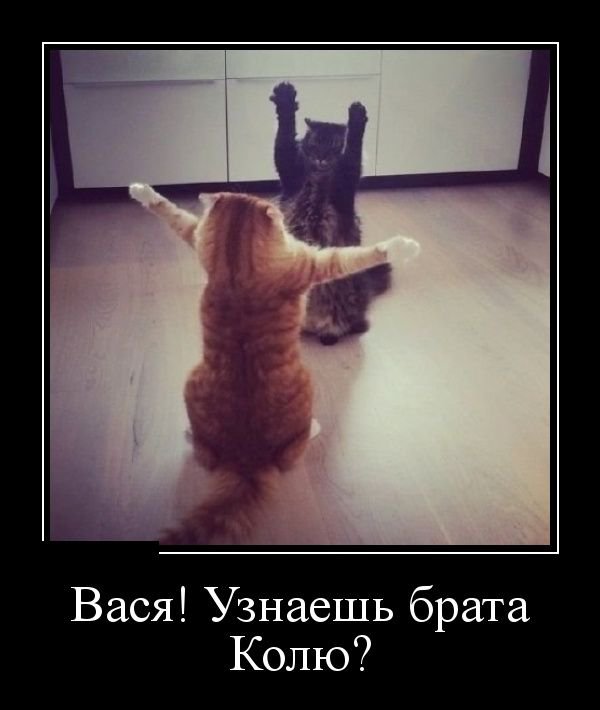 Прикольные новые демотиваторы (30 фото)