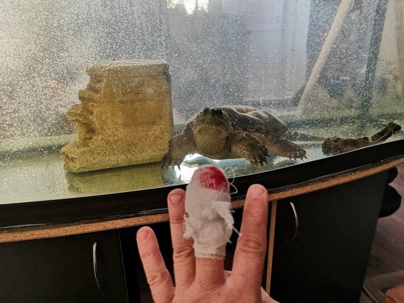 Бывают в жизни огорчения... (32 фото) Бывают в жизни огорчения... (32 фото)