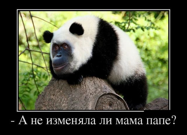 Прикольные фото-демотиваторы (30 фото)