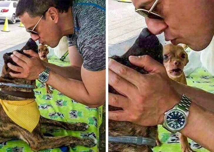 20 неожиданных фотографий, ставших шедеврами благодаря фону (21 фото) 20 неожиданных фотографий, ставших шедеврами благодаря фону (21 фото)