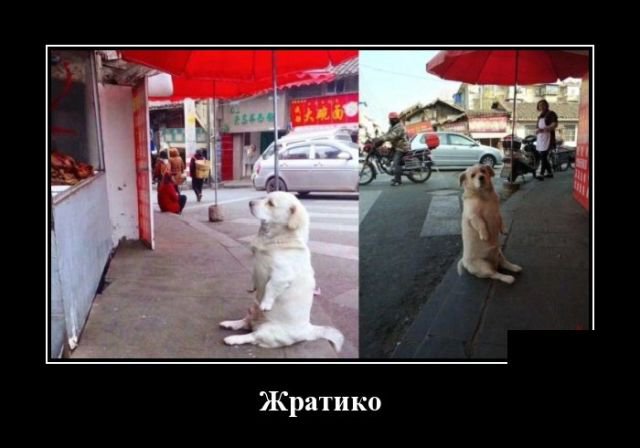 Смешные демотиваторы про жизнь (30 фото) Смешные демотиваторы про жизнь (30 фото)