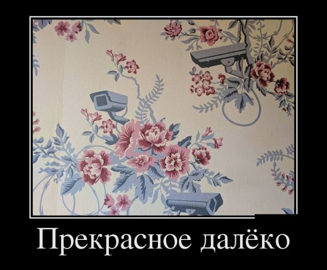 Прикольные фото-демотиваторы (30 фото)