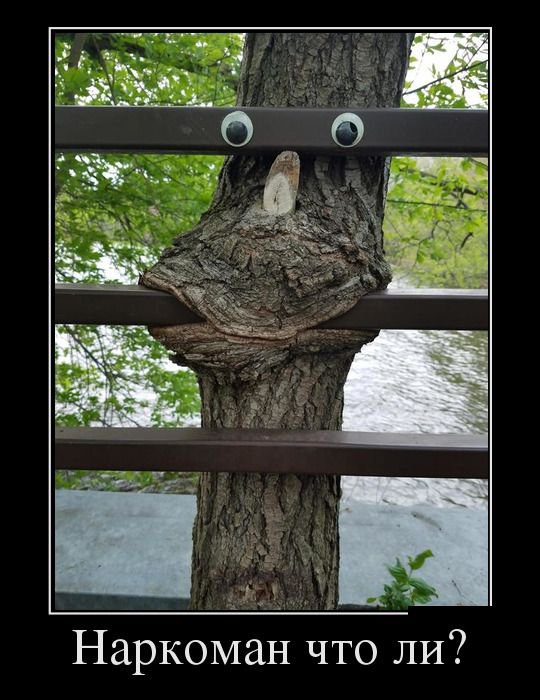 Прикольные фото-демотиваторы (30 фото)