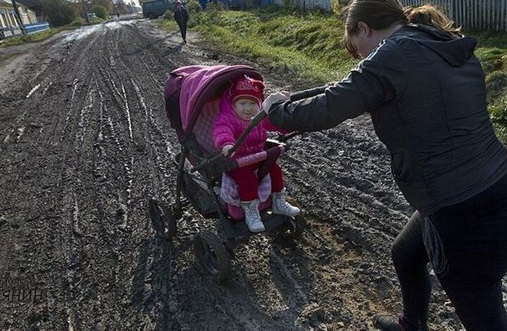 Приезжайте к нам в колхоз - куры, дуры и навоз (21 фото) Приезжайте к нам в колхоз - куры, дуры и навоз (21 фото)