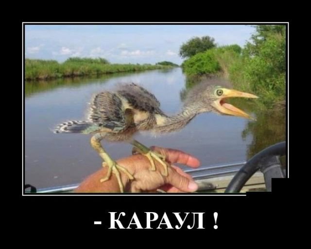 Смешные демотиваторы про жизнь (30 фото) Смешные демотиваторы про жизнь (30 фото)