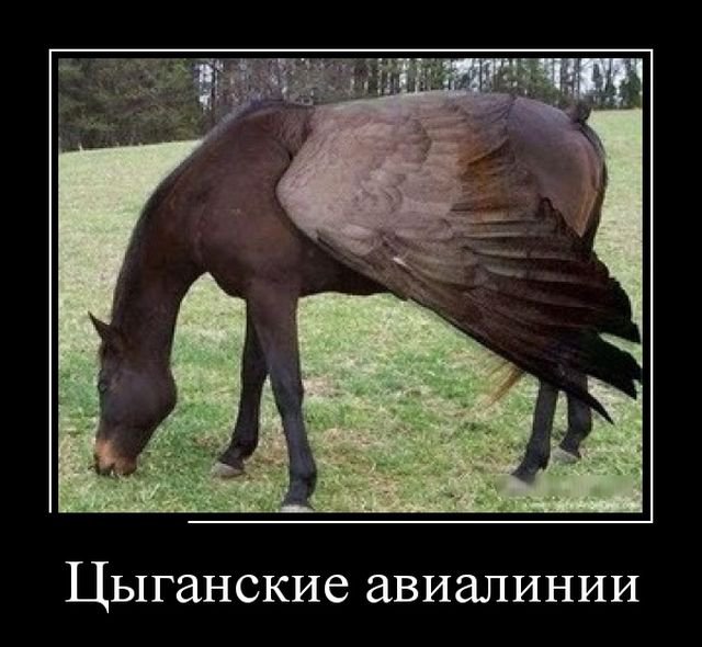 Прикольные фото-демотиваторы (30 фото)