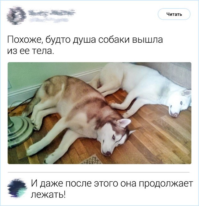 Комментирование - это искусство. Подборка острот с просторов Интернета (19 фото)