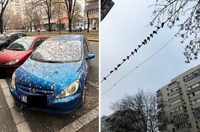 20 человек, которых настиг худший день в их жизни (21 фото) 20 человек, которых настиг худший день в их жизни (21 фото)