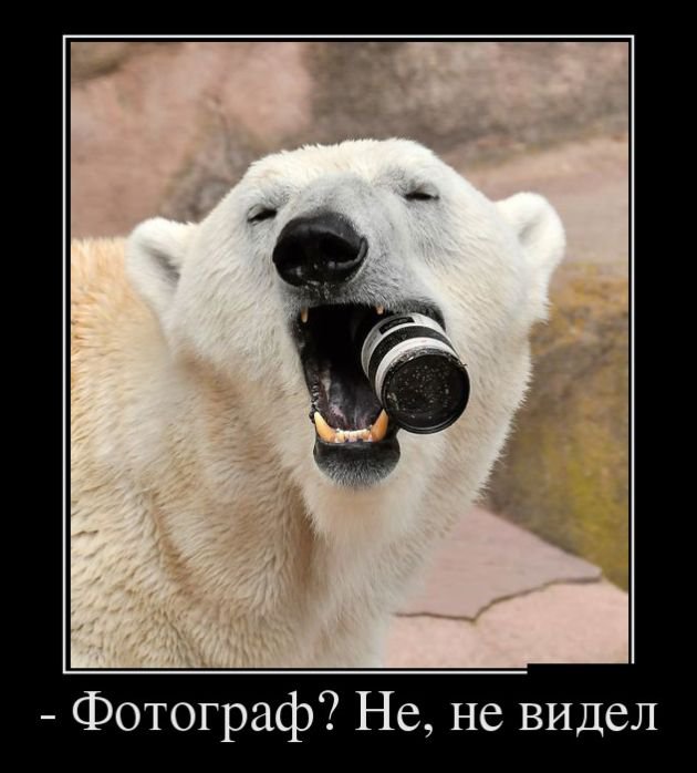 Прикольные фото-демотиваторы (30 фото)