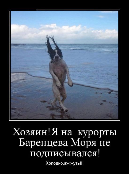 Прикольные фото-демотиваторы (30 фото)