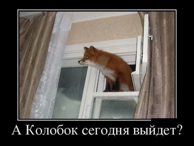 Смешные демотиваторы про жизнь (30 фото) Смешные демотиваторы про жизнь (30 фото)