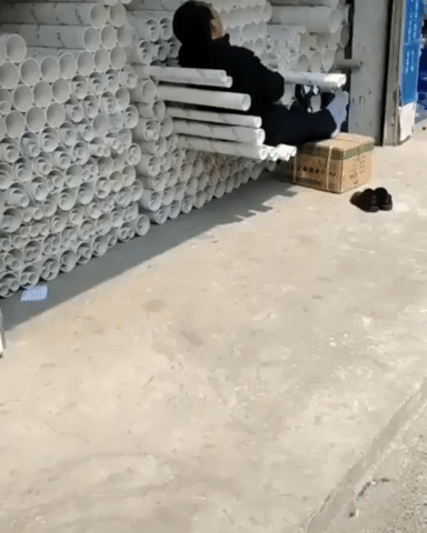 Уставшие бедолаги, на которых даже больно смотреть (18 фото)