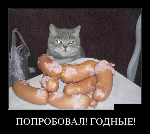 Смешные демотиваторы про жизнь (30 фото) Смешные демотиваторы про жизнь (30 фото)