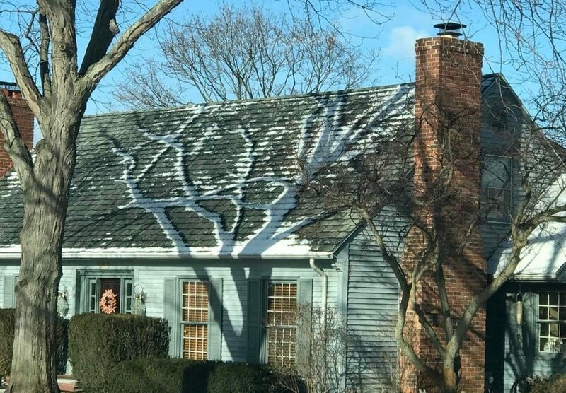 15 фотографий интересных вещей и ситуаций, способных удивить (15 фото)