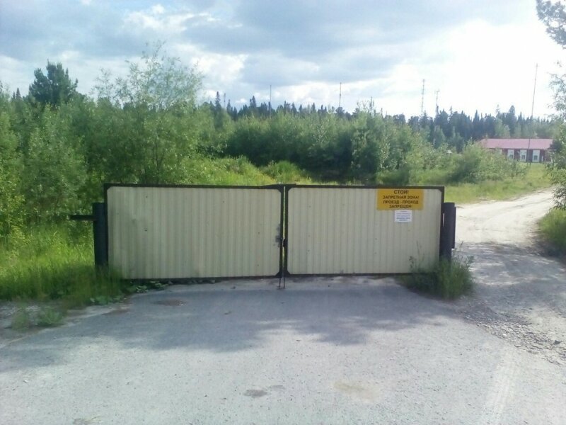 Приезжайте к нам в колхоз - куры, дуры и навоз (21 фото) Приезжайте к нам в колхоз - куры, дуры и навоз (21 фото)