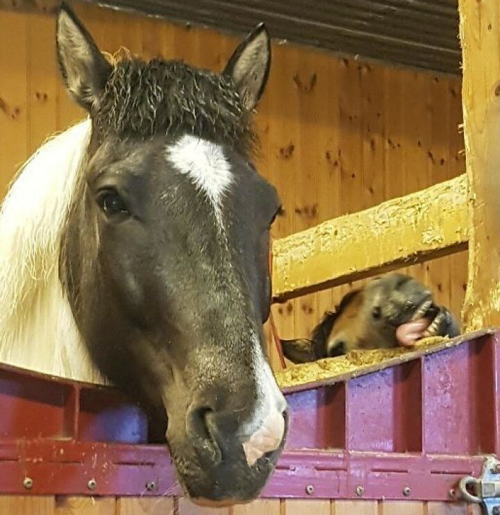 20 неожиданных фотографий, ставших шедеврами благодаря фону (21 фото) 20 неожиданных фотографий, ставших шедеврами благодаря фону (21 фото)