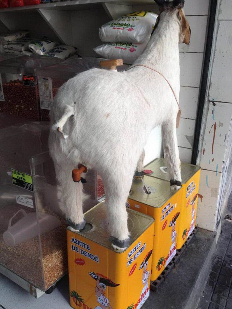 WTF: что тут происходит? (39 фото)