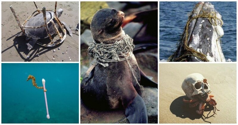 30 страшных кадров, напоминающих о том, как человек издевается над природой (31 фото)