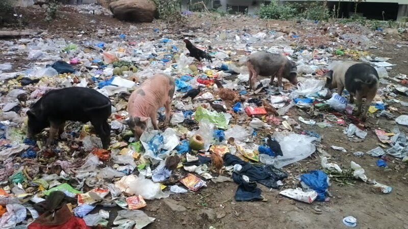 30 страшных кадров, напоминающих о том, как человек издевается над природой (31 фото)