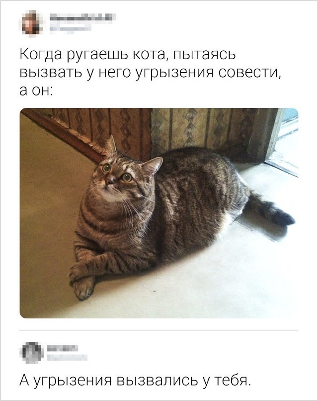 Новая порция юморесок и острот с просторов сети (17 скриншотов)