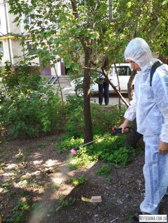 В Симферополе нашли 2 отрезанные головы крокодилов (5 фото)