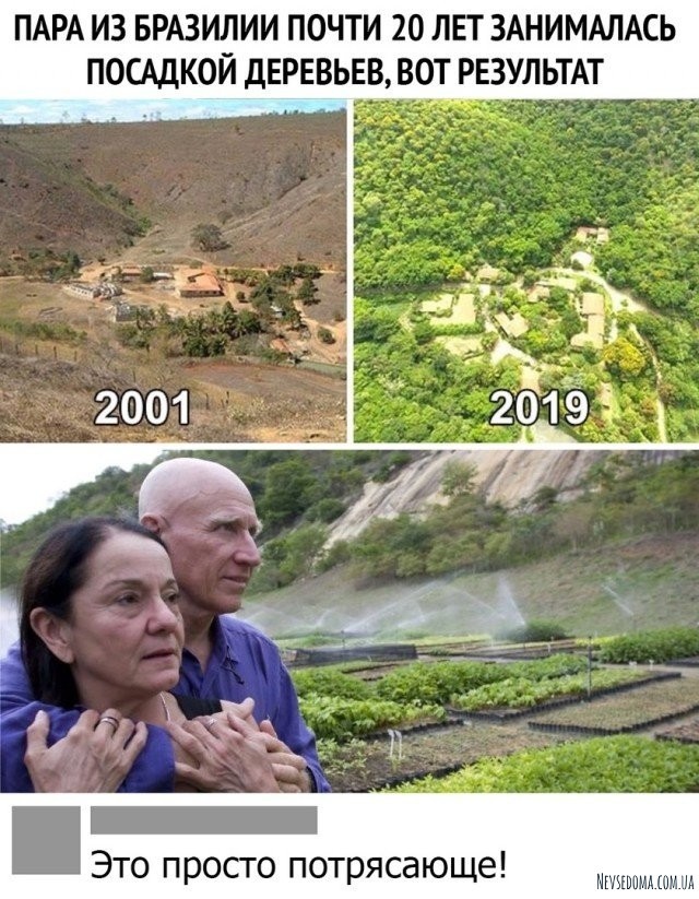 Юмор и шутки из социальных сетей (22 фото)