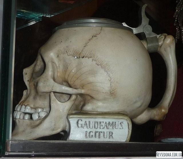 Если среди ваших друзей есть студент-медик, он будет без ума от такого подарка (4 фото)