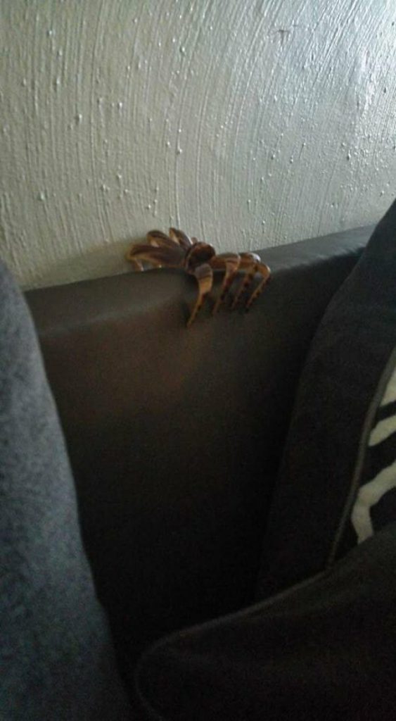 Чуть сердце не остановилось: 22 пугающие оптические иллюзии (23 фото)