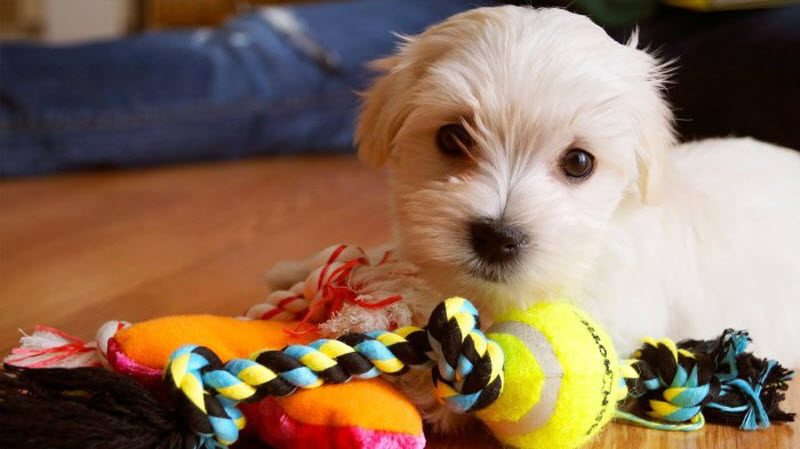 9 мифов из детства, в которые просто стыдно до сих пор верить (10 фото)