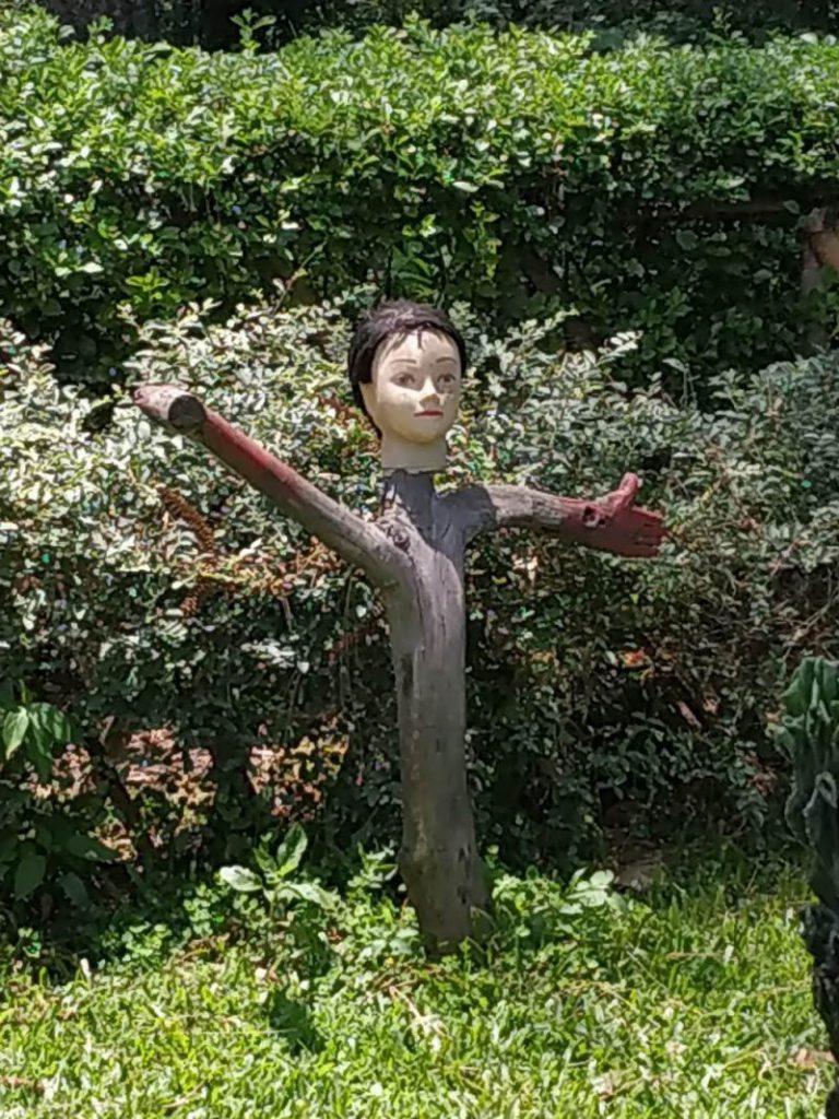 WTF: что тут происходит? (39 фото)