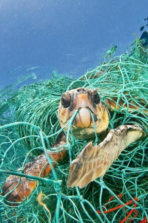 30 страшных кадров, напоминающих о том, как человек издевается над природой (31 фото)